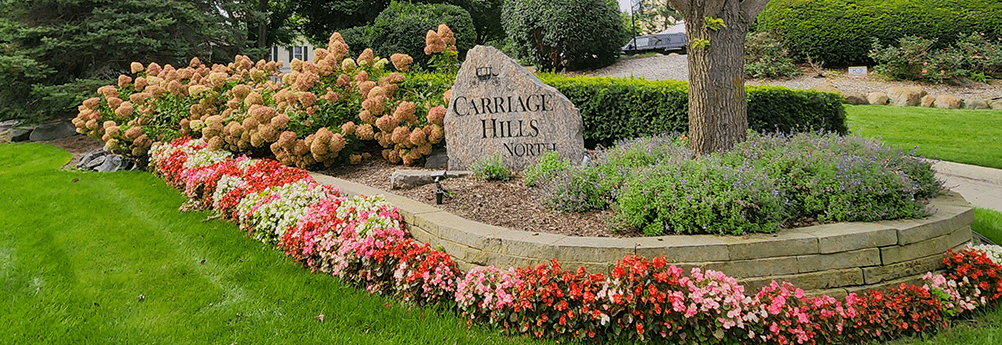 Carriage Hills North